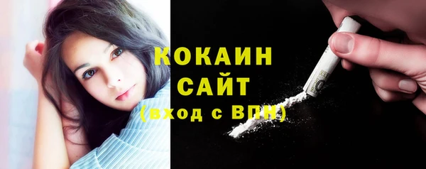 mdpv Новозыбков